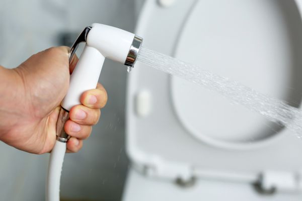 Bidet Installation in Springfield