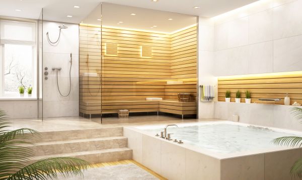 Steam Shower Repair in Springfield