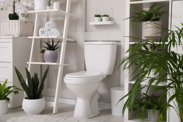 Cost of Toilet Repair in Springfield