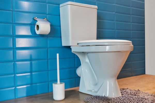 Toilet Tank Repair in Springfield