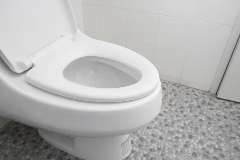 Toilet Installation Service detail